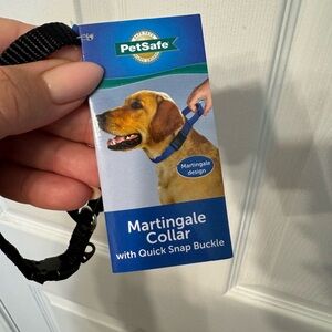 Martingale collar
